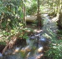 Treetops Accommodation Montville - Accommodation Mount Tamborine