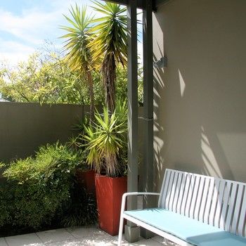 Chaucer Palms Boutique Bed & Breakfast - Accommodation Mount Tamborine 26