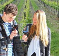 Valley Farm Vineyard Cottages - Accommodation Mount Tamborine