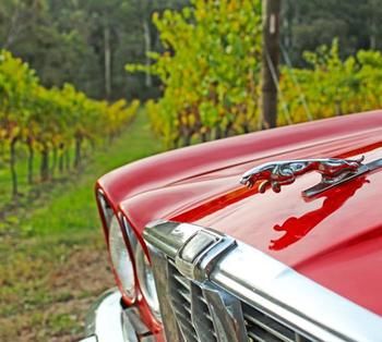 Valley Farm Vineyard Cottages - Accommodation Mount Tamborine 1