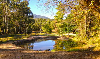 Valley Farm Vineyard Cottages - Accommodation Mount Tamborine 3