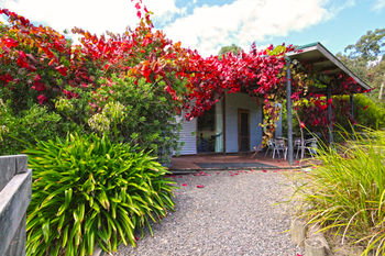 Valley Farm Vineyard Cottages - Accommodation Mount Tamborine 4