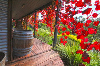 Valley Farm Vineyard Cottages - Accommodation Mount Tamborine 5