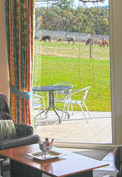 Valley Farm Vineyard Cottages - Accommodation Mount Tamborine 9