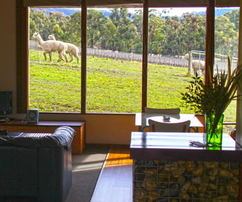 Valley Farm Vineyard Cottages - Accommodation Mount Tamborine 17