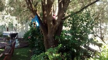 Centabrook Motor Inn - Accommodation Mount Tamborine 12