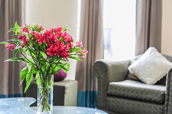 Anchor On Flinders Prime - Accommodation Mount Tamborine 20