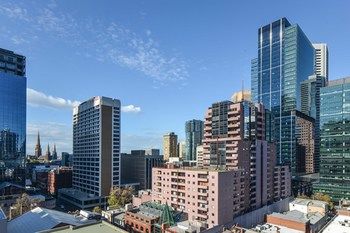 CBD Vistas - Accommodation Mount Tamborine 2