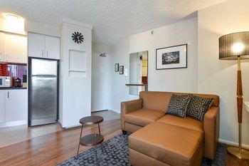 CBD Vistas - Accommodation Mount Tamborine 5