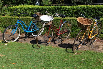 The Villa - Country House Retreat - Accommodation Mount Tamborine 16