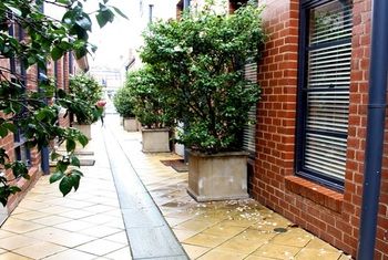 Apartment2c - Old Hat Factory - Accommodation Mount Tamborine 1