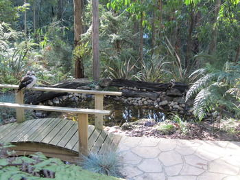 Myers Creek Cascades Luxury Cottages - Accommodation Mount Tamborine 2