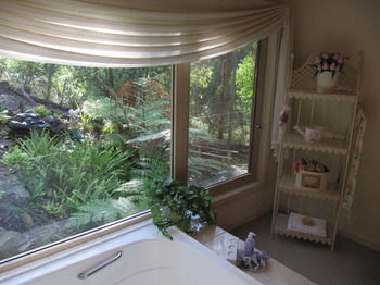Myers Creek Cascades Luxury Cottages - Accommodation Mount Tamborine 8