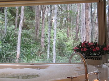 Myers Creek Cascades Luxury Cottages - Accommodation Mount Tamborine 10