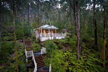 Myers Creek Cascades Luxury Cottages - Accommodation Mount Tamborine 16