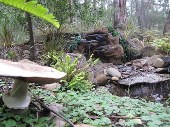 Myers Creek Cascades Luxury Cottages - Accommodation Mount Tamborine 23