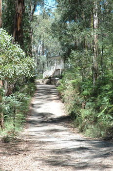 Myers Creek Cascades Luxury Cottages - Accommodation Mount Tamborine 24