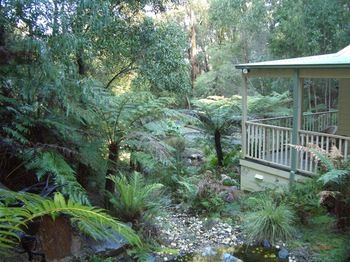 Myers Creek Cascades Luxury Cottages - Accommodation Mount Tamborine 27