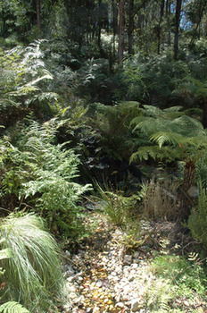 Myers Creek Cascades Luxury Cottages - Accommodation Mount Tamborine 41