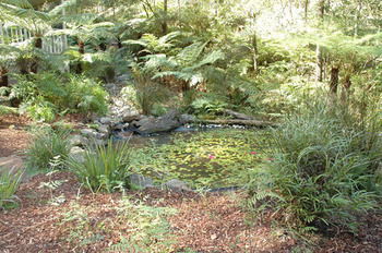 Myers Creek Cascades Luxury Cottages - Accommodation Mount Tamborine 42