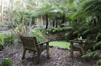 Myers Creek Cascades Luxury Cottages - Accommodation Mount Tamborine 43