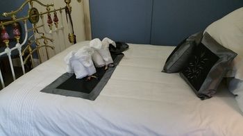 Coppers Hill Private Accommodation - Accommodation Mount Tamborine 23