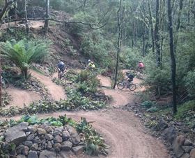 Brothers Town Cottage - Accommodation Mount Tamborine 4