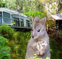 Huon Bush Retreats - Accommodation Mount Tamborine