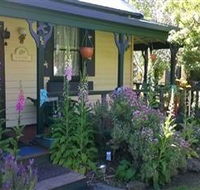Blue Wren Riverside Cottage - Accommodation Mount Tamborine