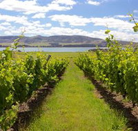 Riversdale Estate Cottages - Accommodation Mount Tamborine
