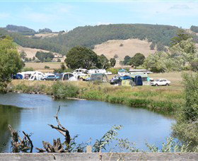 Wing's Wildlife Park (Accommodation) - Accommodation Mount Tamborine 0