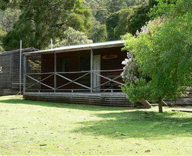 Wing's Wildlife Park (Accommodation) - Accommodation Mount Tamborine 3