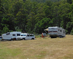 Wing's Wildlife Park (Accommodation) - Accommodation Mount Tamborine 1