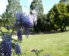 Rowes Retreat Bed And Breakfast - Accommodation Mount Tamborine 3