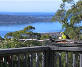 Bed In The Treetops - Accommodation Mount Tamborine 2
