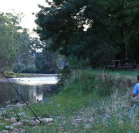 Gentle Annie Caravan and Camping Reserve - Accommodation Mount Tamborine