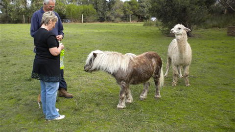 Bells Estate Great Ocean Road Cottages - Accommodation Mount Tamborine 1