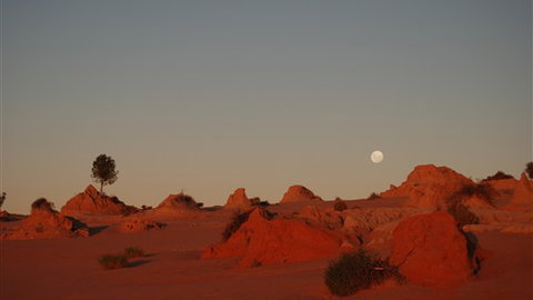 Mungo Lodge - Accommodation Mount Tamborine 6