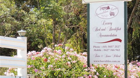 Burrabliss Bed And Breakfast - Accommodation Mount Tamborine 6