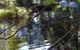 Mary Anns Cottage - thumb 1