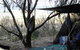Main Beach Foreshore Camping Grounds - thumb 0