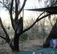 Main Beach Foreshore Camping Grounds - Accommodation Mount Tamborine