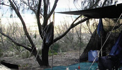 Main Beach Foreshore Camping Grounds - Accommodation Mount Tamborine 0