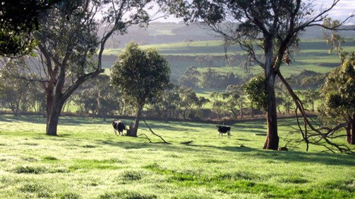 Scotts Creek ACT Accommodation Mount Tamborine