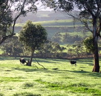 Bellevue Farmstay - Accommodation Mount Tamborine