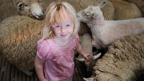 Bellevue Farmstay - Accommodation Mount Tamborine 4