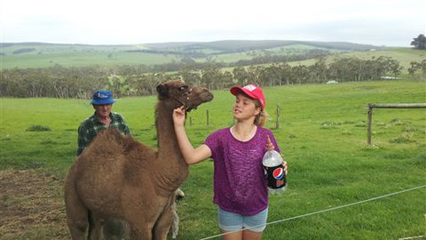 Bellevue Farmstay - Accommodation Mount Tamborine 8
