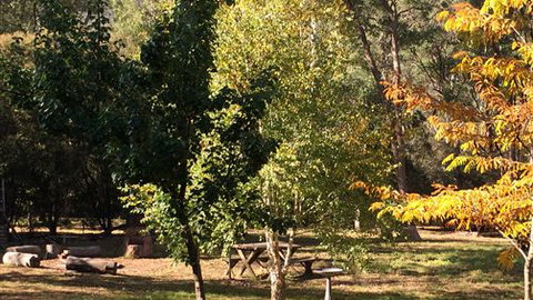Schusters Lodge - Accommodation Mount Tamborine 6