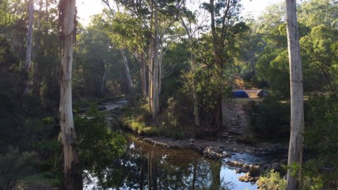 Schusters Lodge - Accommodation Mount Tamborine 7