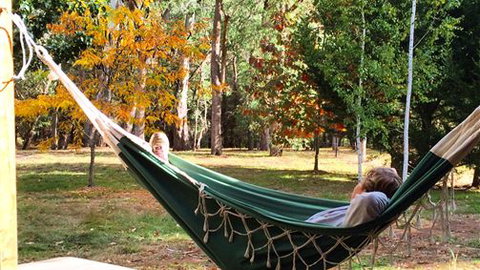 Schusters Lodge - Accommodation Mount Tamborine 5